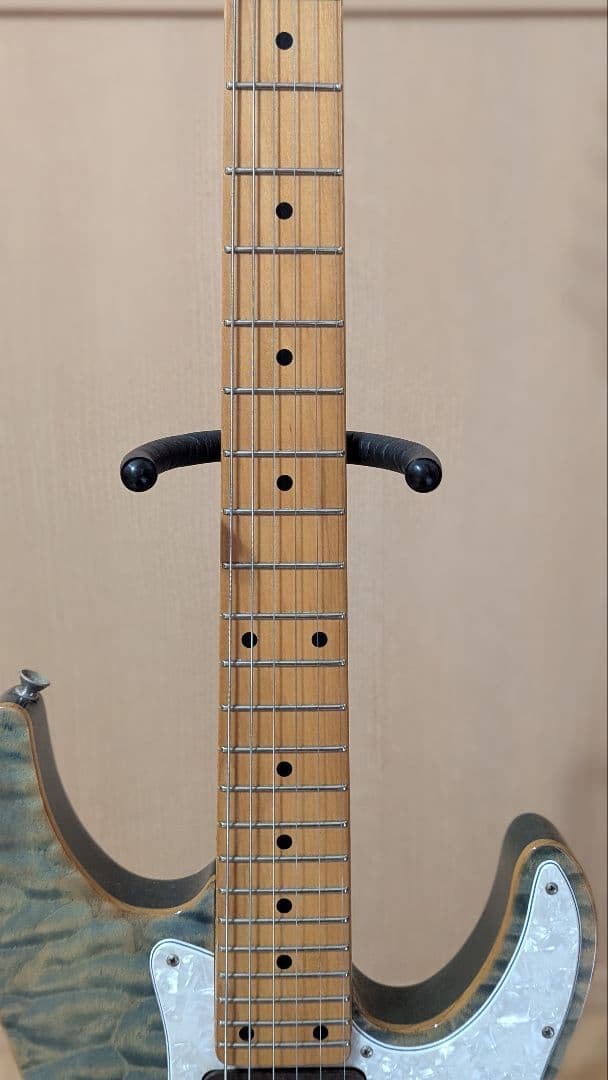 日*9様 SCHECTER SD-2-24-AL