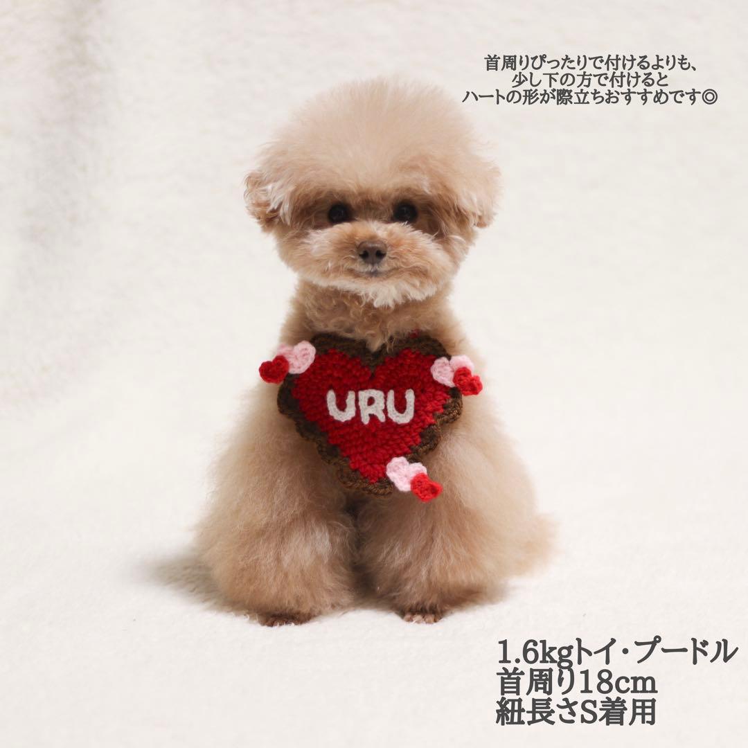 犬用・猫用　チョコがけハートの バレンタインビブ