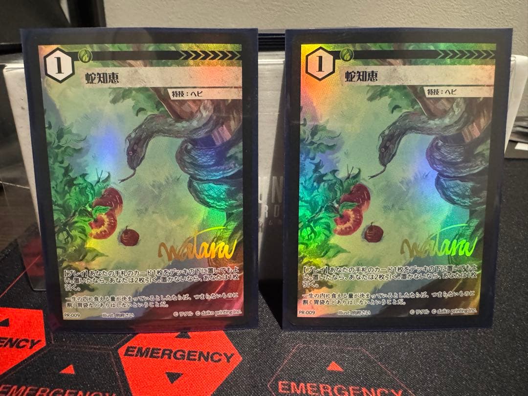 アニマルカードゲーム　ドローソースセット