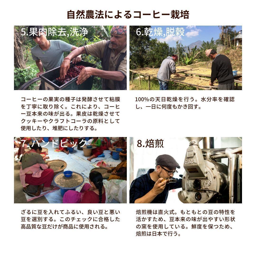 ☆オーガニックコーヒー アメリカン フェアトレード 1kg コーヒー豆 ネパール