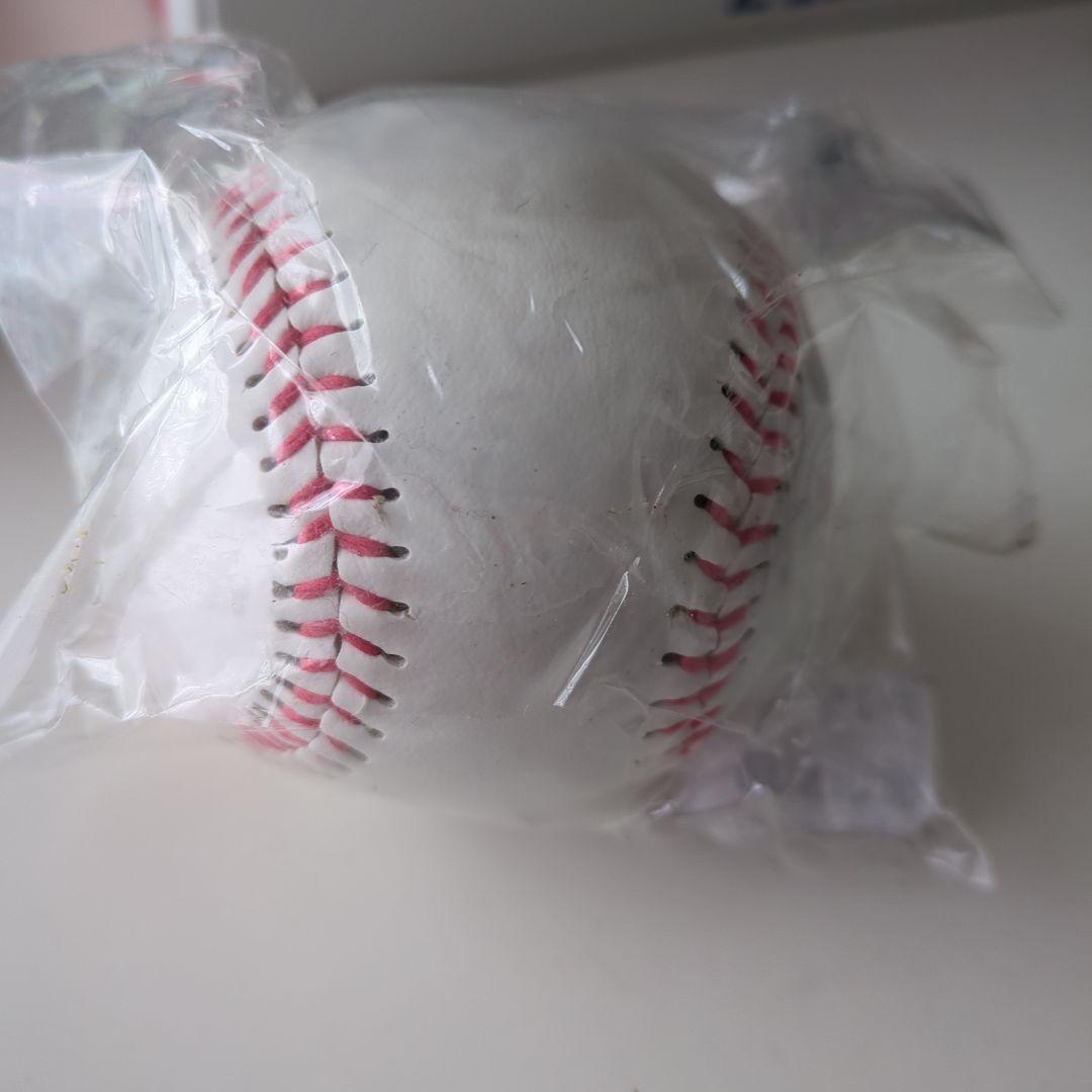 希少　当選品　千葉ロッテ　WBC日本代表　種市篤暉　直筆サインボール