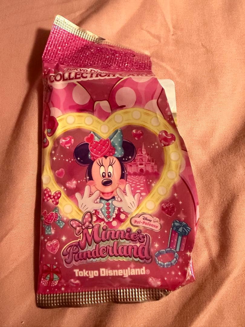 ミニーパルパルーザ2026 まとめ売り ポップコーンバケット カード ショッパー