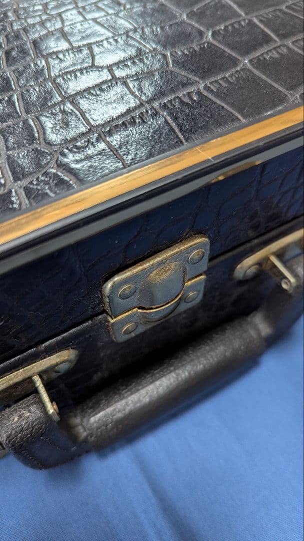 沖縄三線 本蛇皮強化張り 池武当新垣三線店 ハードケース付き 付属品多数