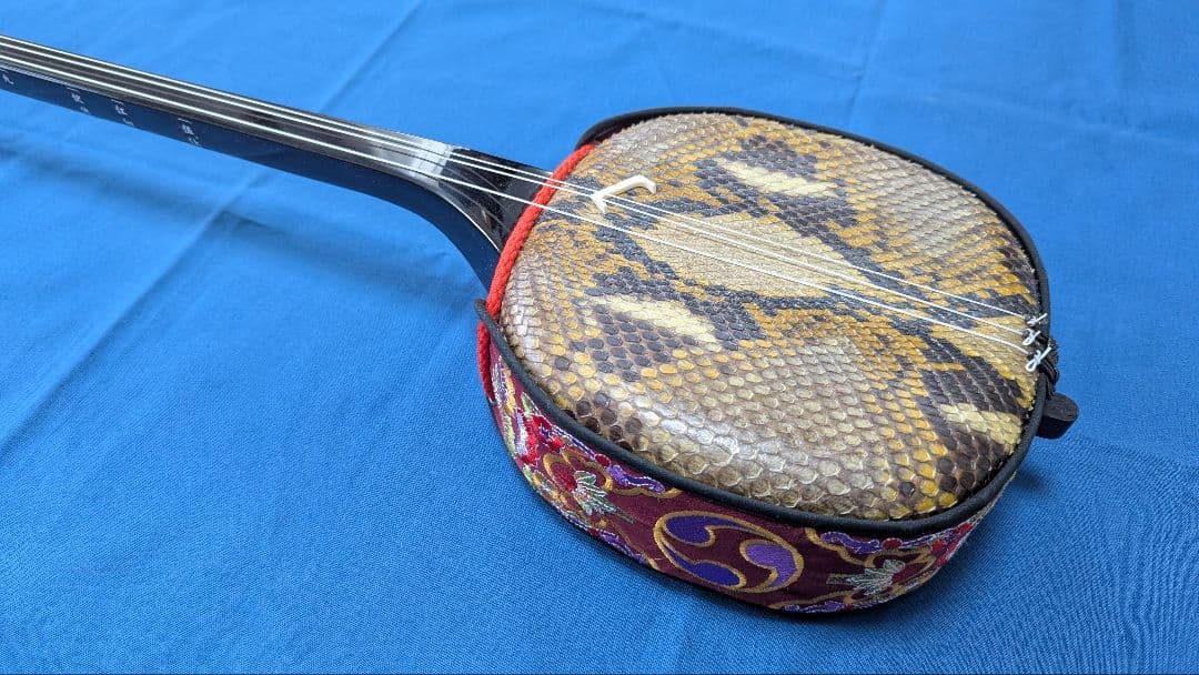 沖縄三線 本蛇皮強化張り 池武当新垣三線店 ハードケース付き 付属品多数