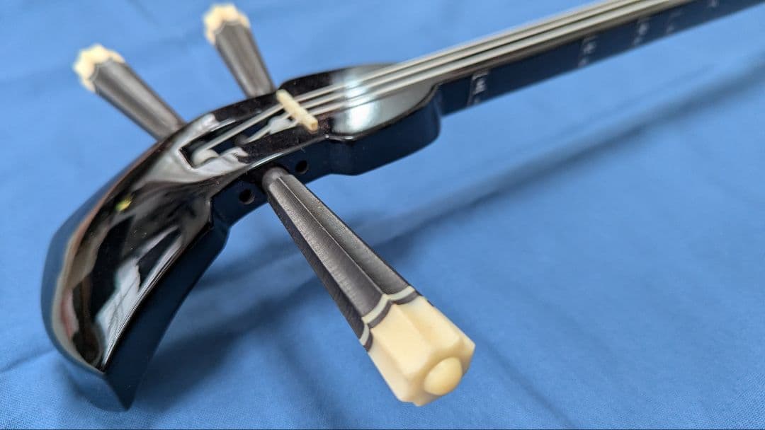 沖縄三線 本蛇皮強化張り 池武当新垣三線店 ハードケース付き 付属品多数