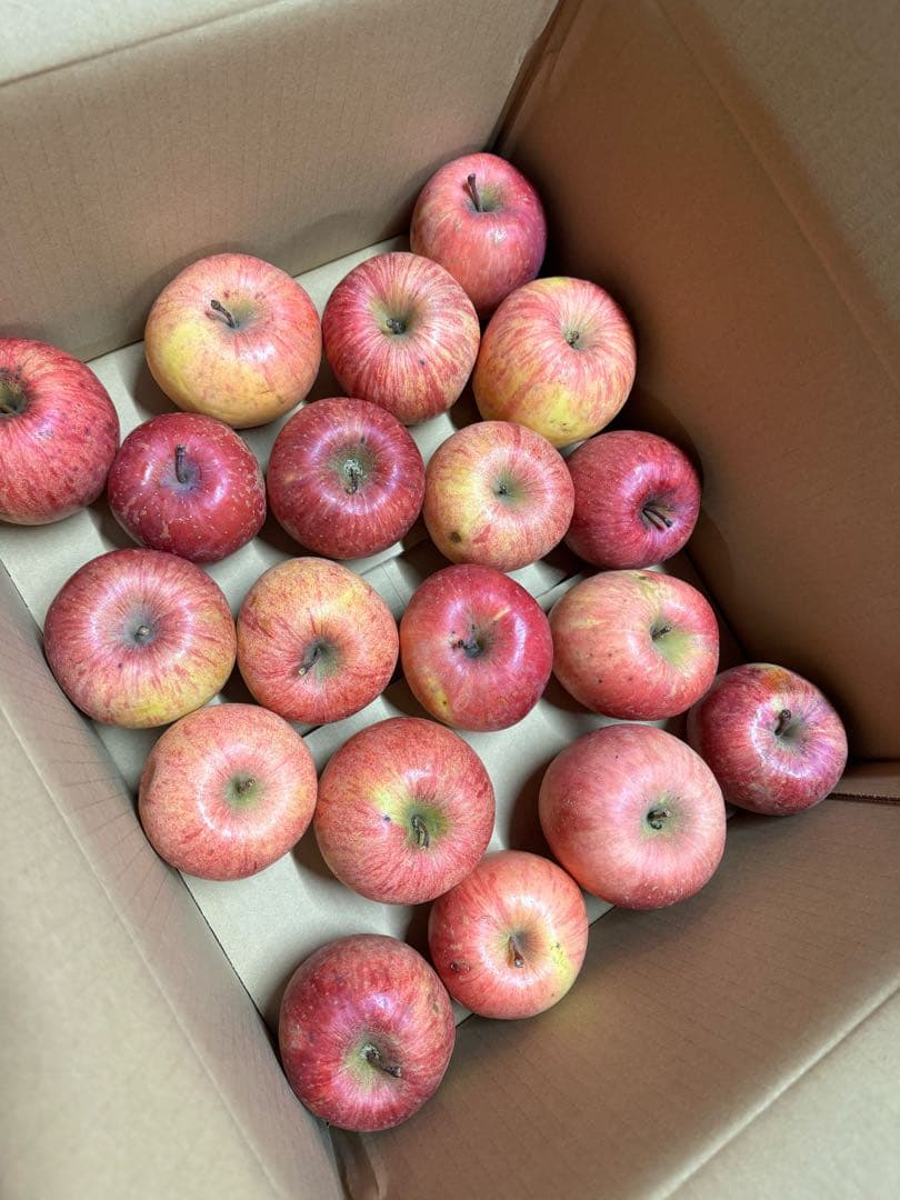 りんご　葉取らずフジ　10キロ