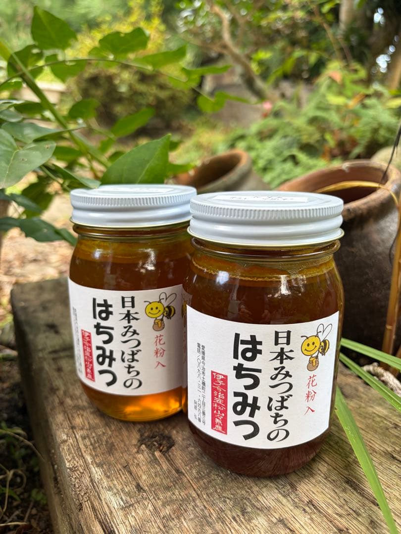 はちみつ　日本蜜蜂のハチミツ　奥山の蜂蜜　花粉入り