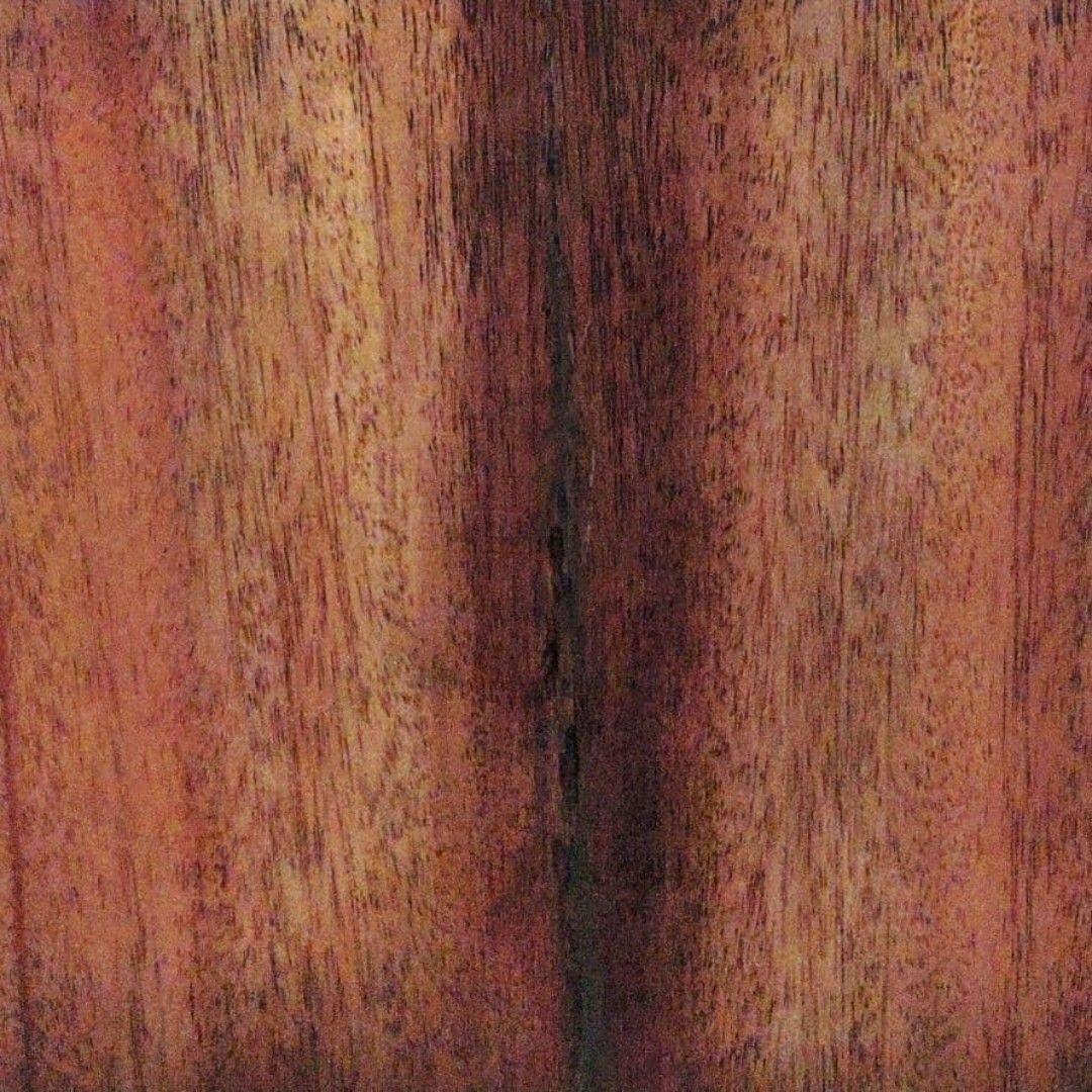 Bromo (ブロモ)　BAR1H　アコースティックギター　オール単板