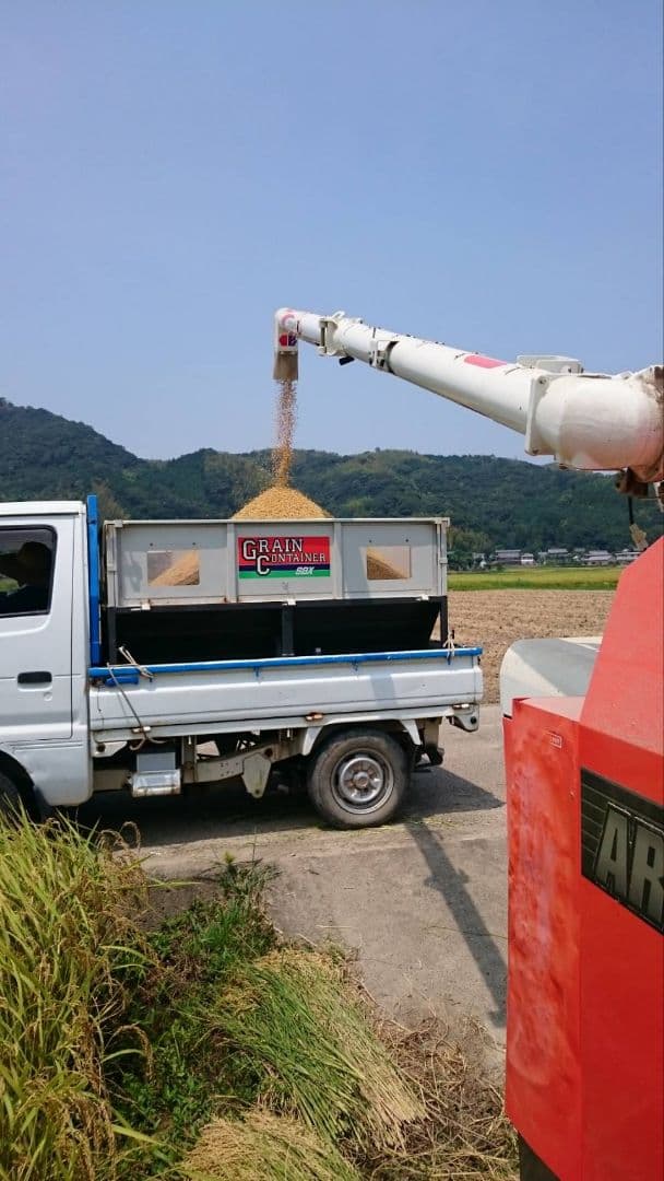 徳島県産 コシヒカリ（玄米） 20kg　低温貯蔵中　農家直送