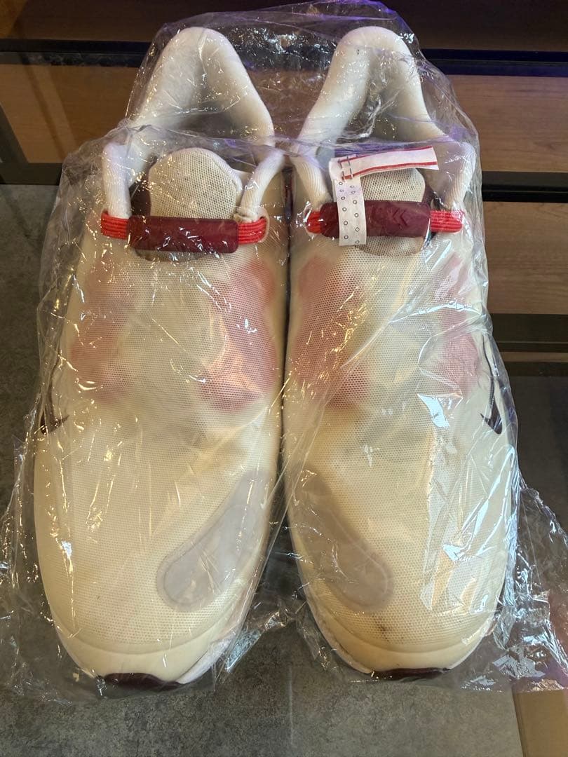 クリーニング済　ナイキ ゴルフシューズ　24.5センチ