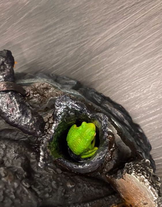 NARUTO ナルト  自来也ガレージキット ガレキ スタチュー ③