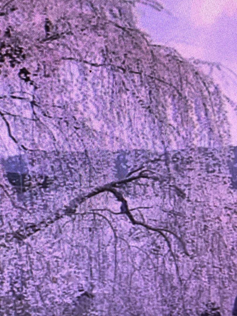 あけ 送料無料9kg2個お姫さまマーク手延そうめん