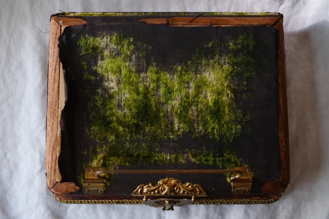 アメリカアンティーク｜ヴィクトリアンのフォトアルバム