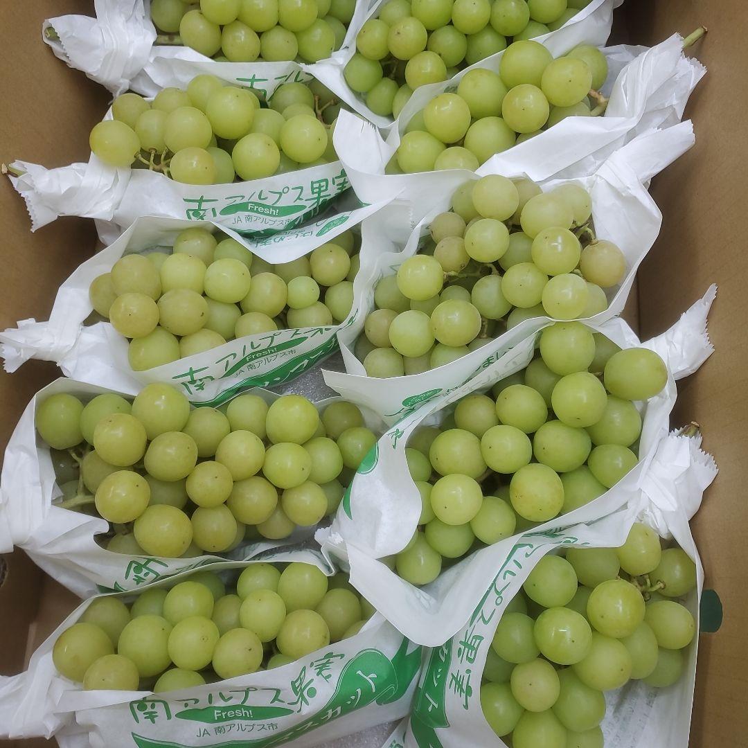 8️⃣ 山梨県産 シャインマスカット １０房入り 箱込み5.3キロ