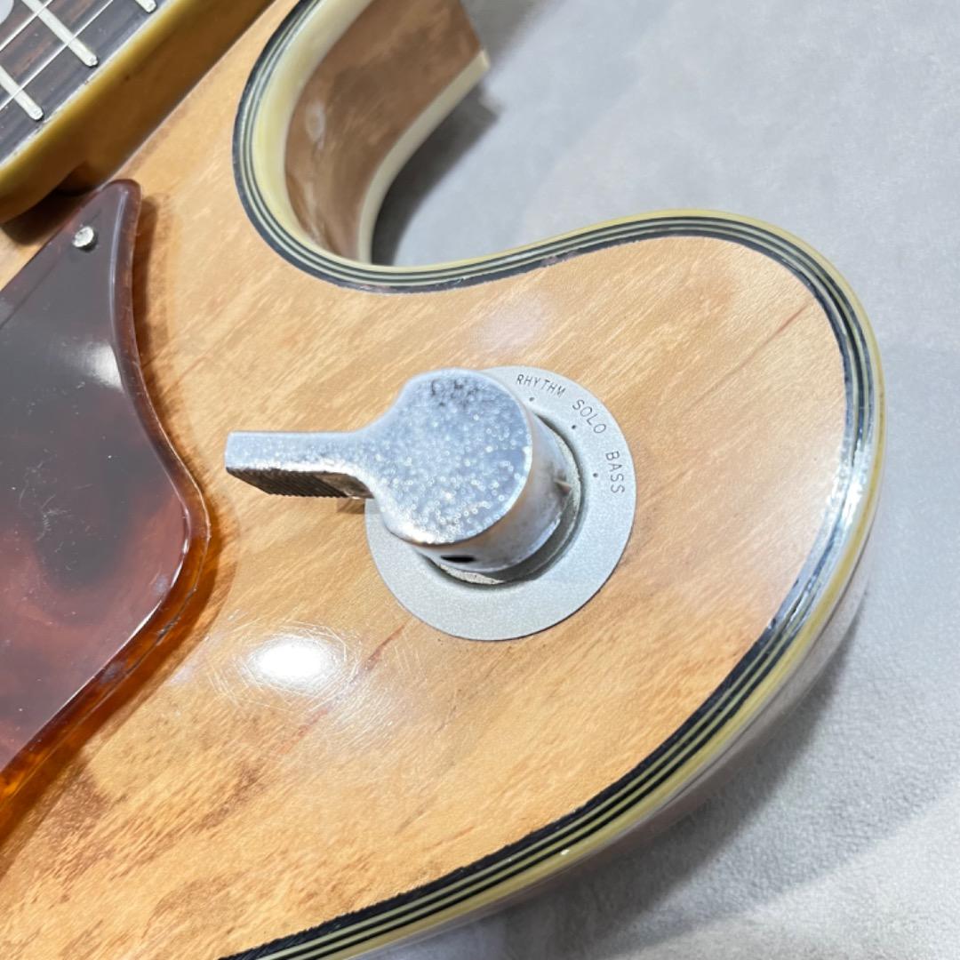 TEISCO フルアコ　VEGAS40 テスコ　ベガス40