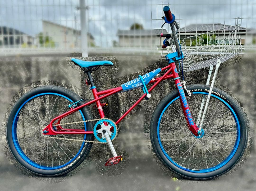 SE bikes Quadangle Looptail 24” 2010