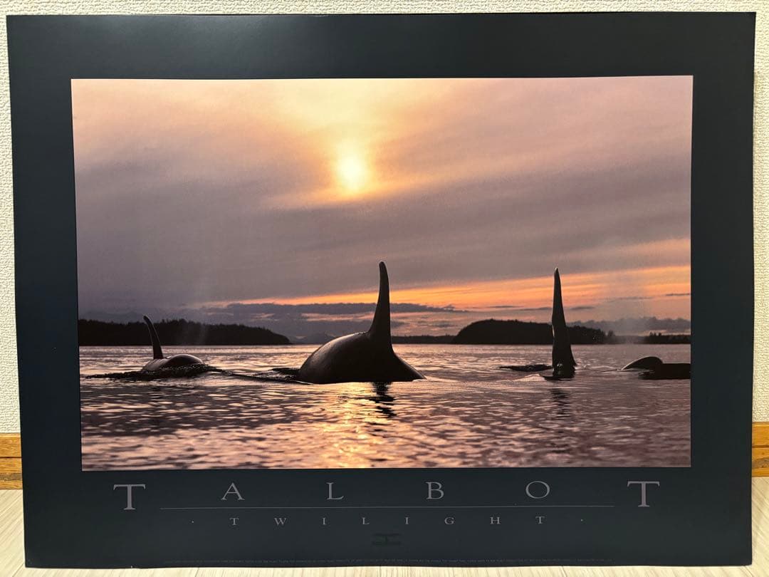 Bob Talbot 80s vintage poster 7種セット