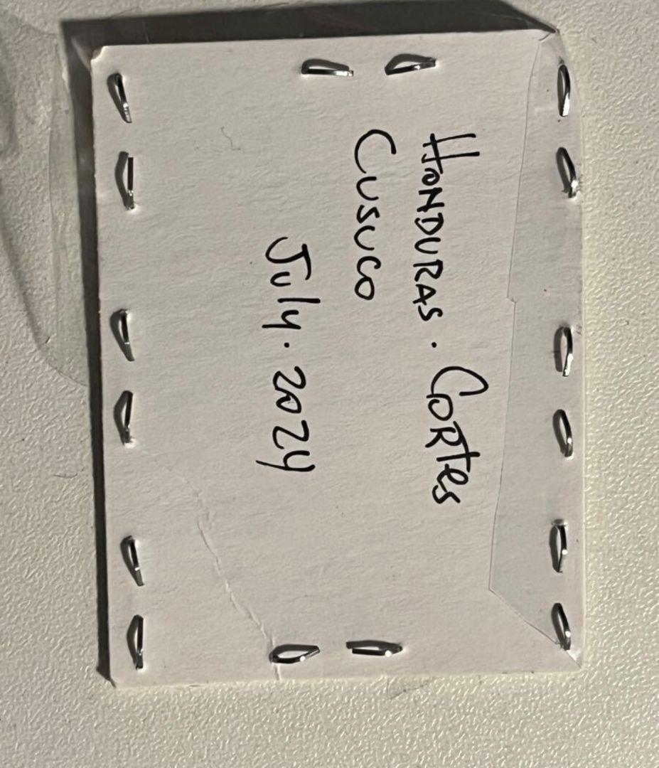 【鶯黄金最高峰】キンモンウグイスコガネ 標本 スペクタビリスウグイスコガネ