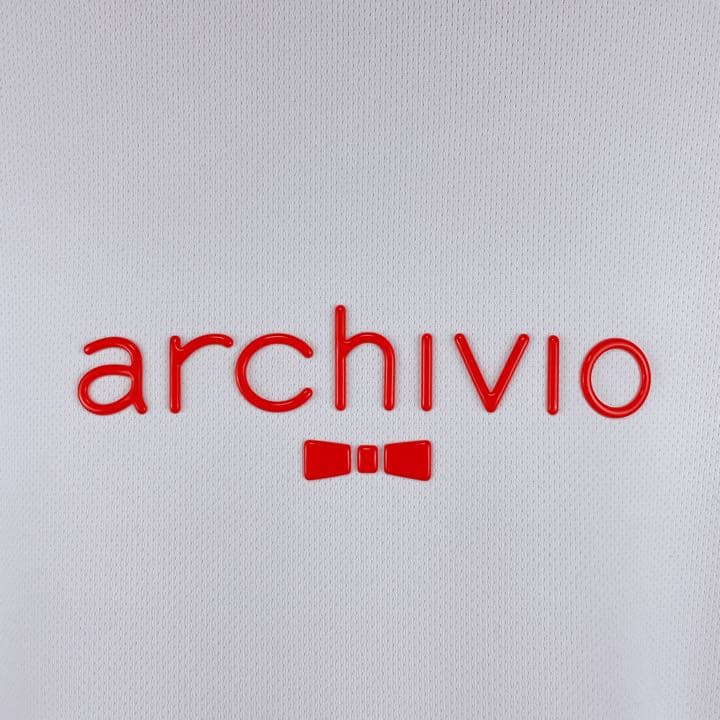 22FW新作【アルチビオ】機能素材ハイネック、シャツ襟38号