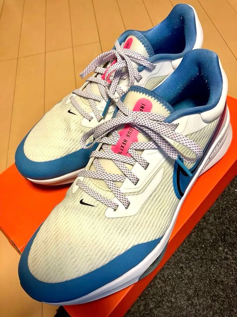 【超レア・美品】NIKE AIR ZOOM INFINITY 28.5cm