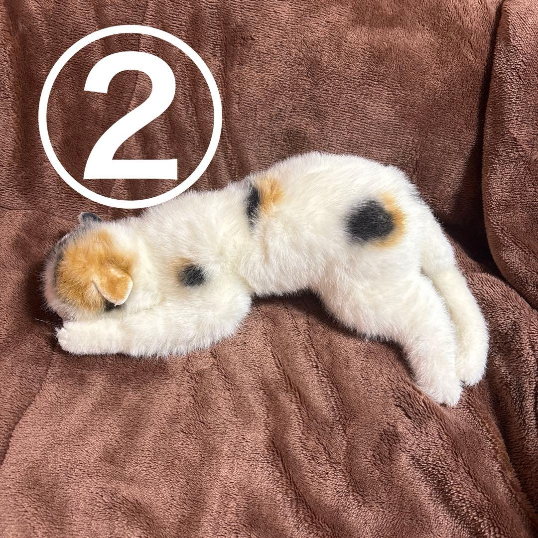 【大量】にゃんこだけ！ぬいぐるみセット【まとめ売り】