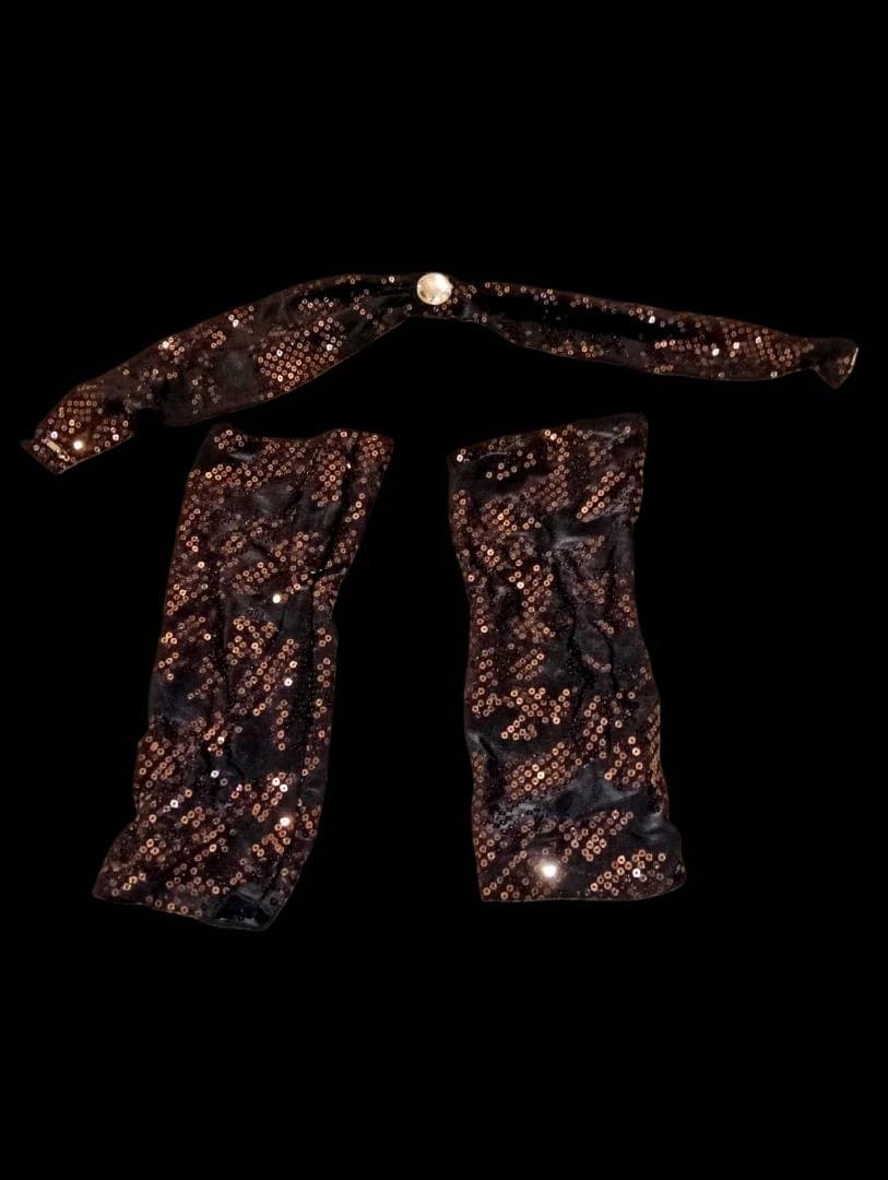 【新品Sale】エジプト製デザイナーズベリーダンス衣装Blackスパンコール