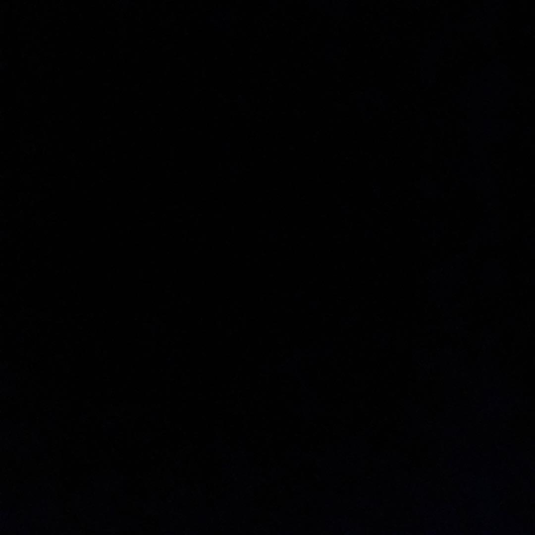 ☆とても美しい様☆