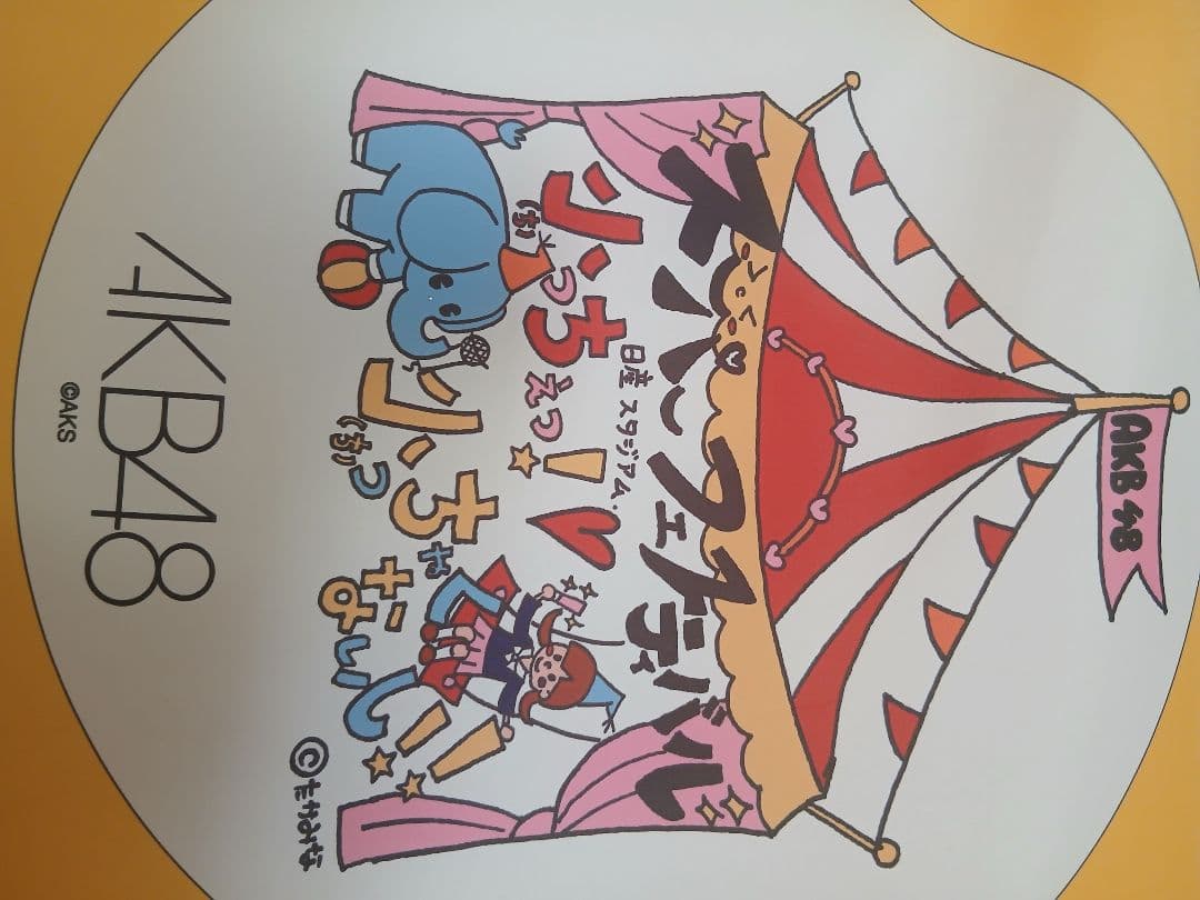 AKB48 日産スタジアム コンサート オープニングメンバー使用フラッグ 希少