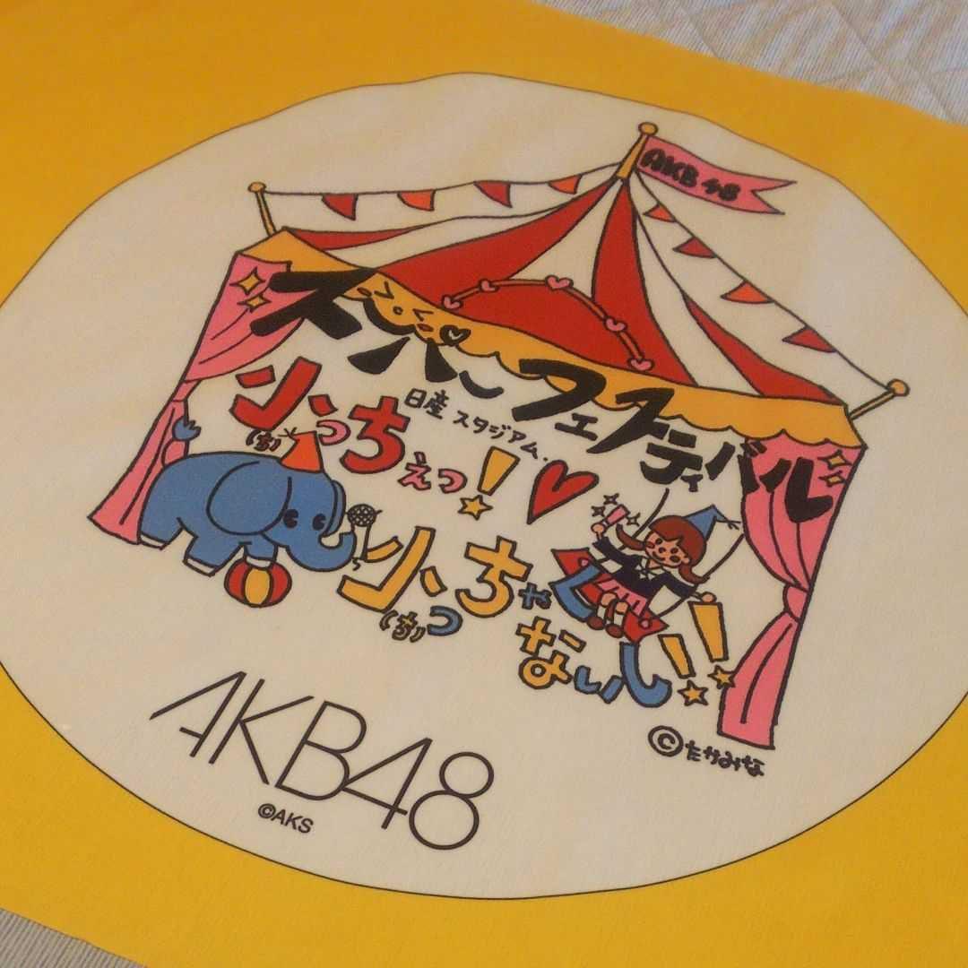 AKB48 日産スタジアム コンサート オープニングメンバー使用フラッグ 希少