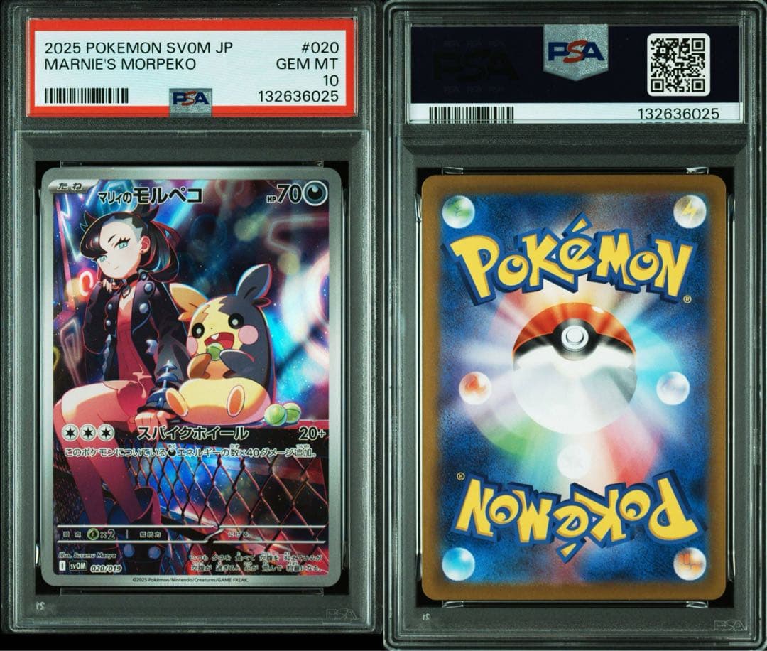 マリィのモルペコ AR プロモ PSA10