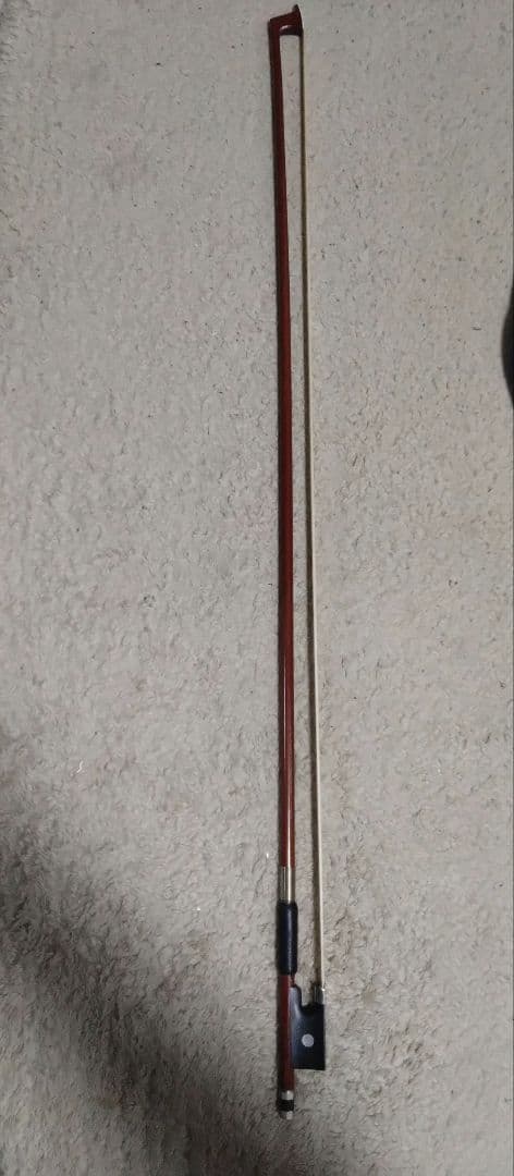 エレキバイオリン Cailo giordano