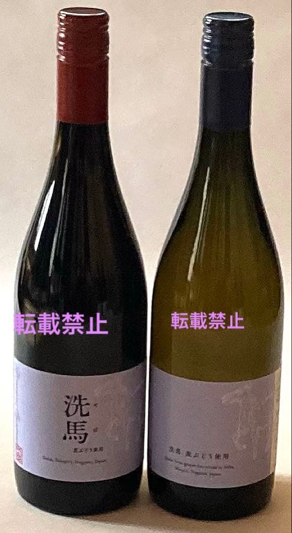 ドメーヌオヤマダ洗馬白赤2023年、祝、日向2023年万力2024年 5本セット