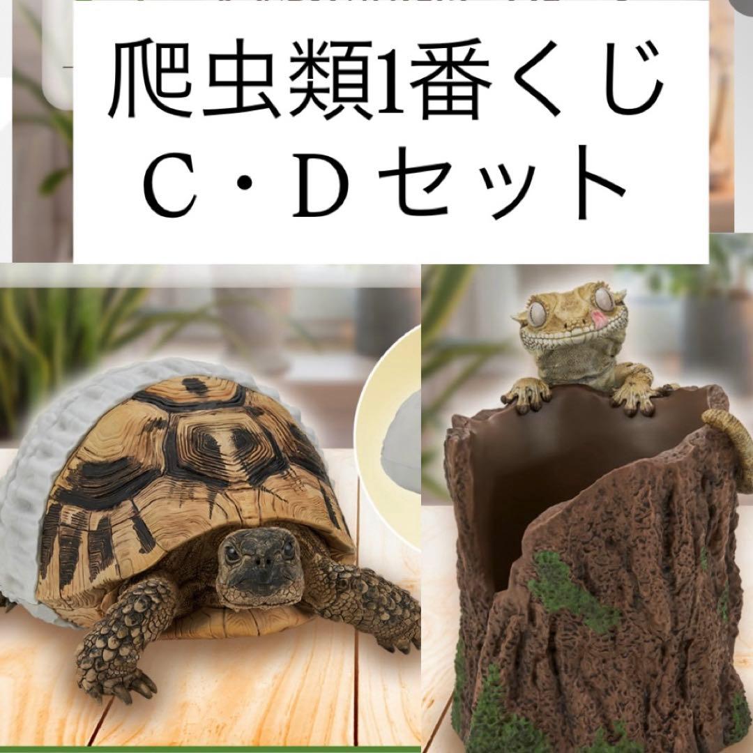 爬虫類1番くじ C・Dセット