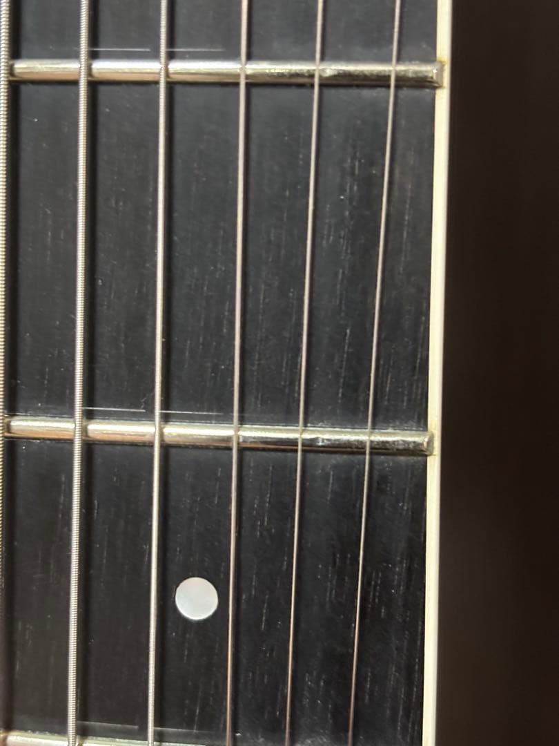 Taylor T5 エレアコ