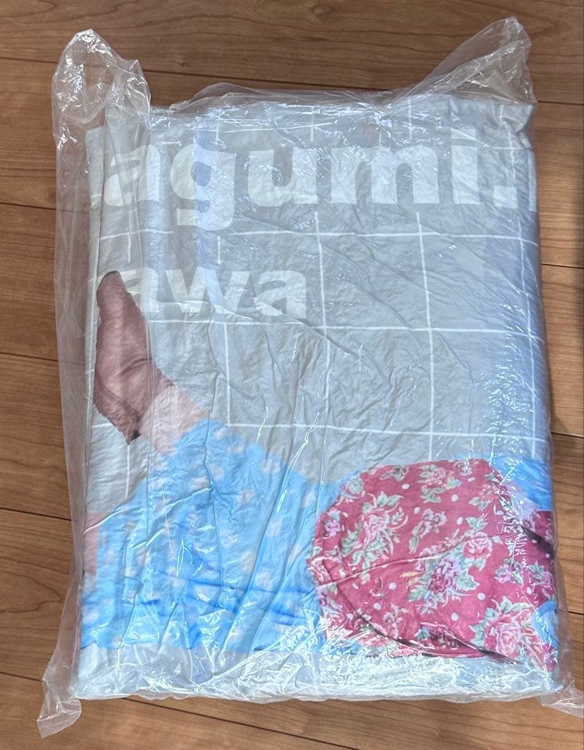 でんぱ組.inc Dempagumi.inc 相沢梨紗 ビッグクッション