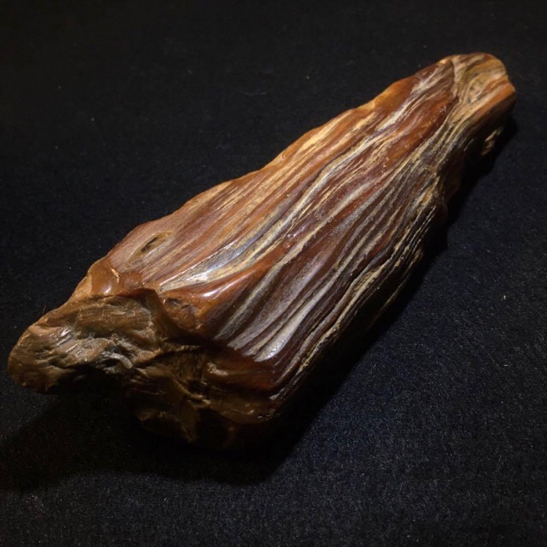 極上 岩手県産 宝石レベルのハイグレード珪化木 鑑賞石 国産鉱物 瑪瑙 化石
