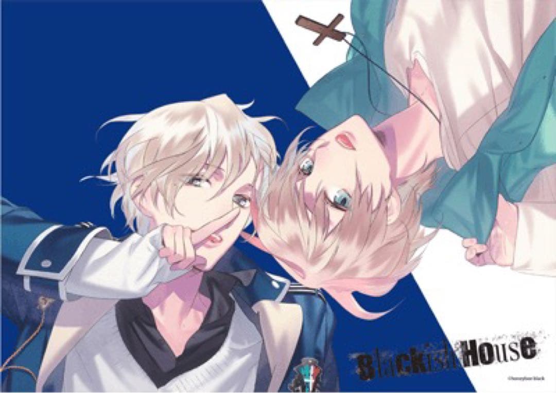 Blackish House　sideZ 　ビッグタオル