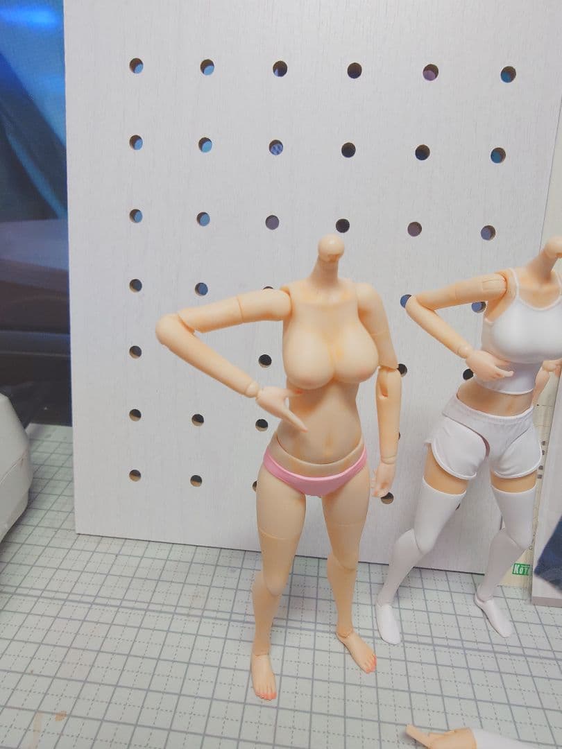 コトブキヤ 創彩少女庭園 ドレスアップボディM 塗装済完成品とパーカー(NV)