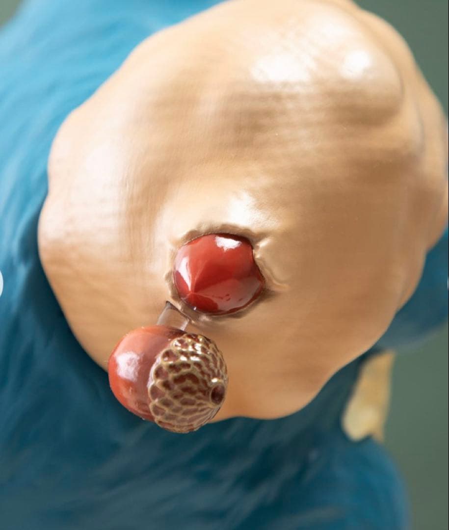 となりのトトロ 中トトロ み～つけた!