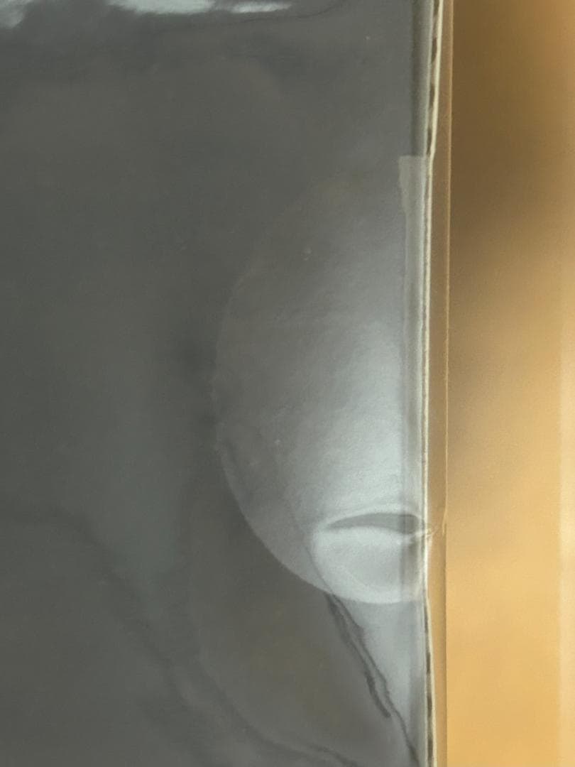 原神 魈　フィギュア 購入特典付き＋魈　ぬいぐるみ等 まとめ売り