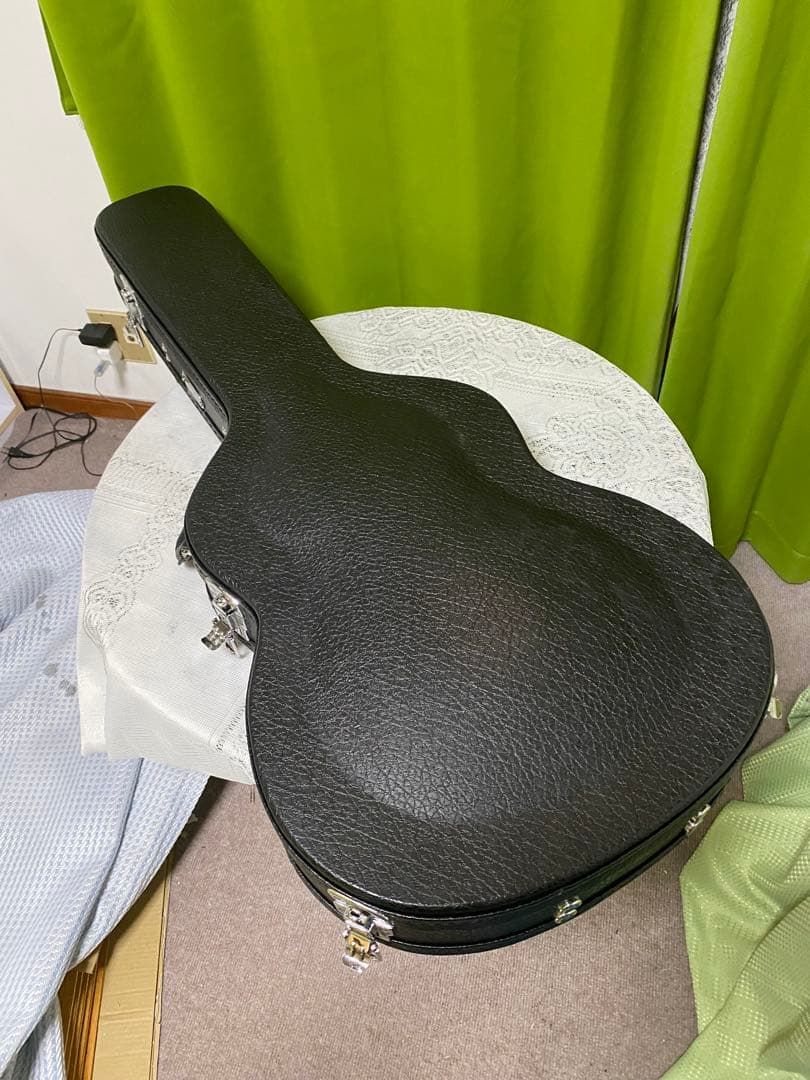 新品ハードケース付き 気分よくロックしようぜ！byESP LunaSeaモデル