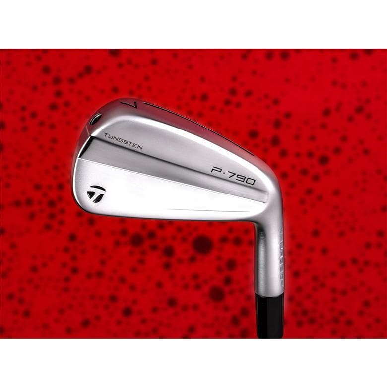 新品　テーラメイドP790 （23）5本セット　 Dynamic Gold EX