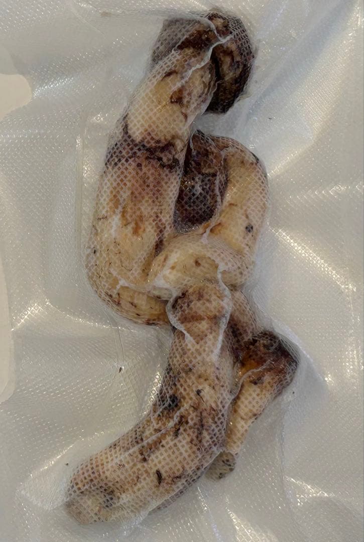 ☆信州産松茸☆冷凍松茸120グラム☆まつたけ☆国産松茸☆⑦☆