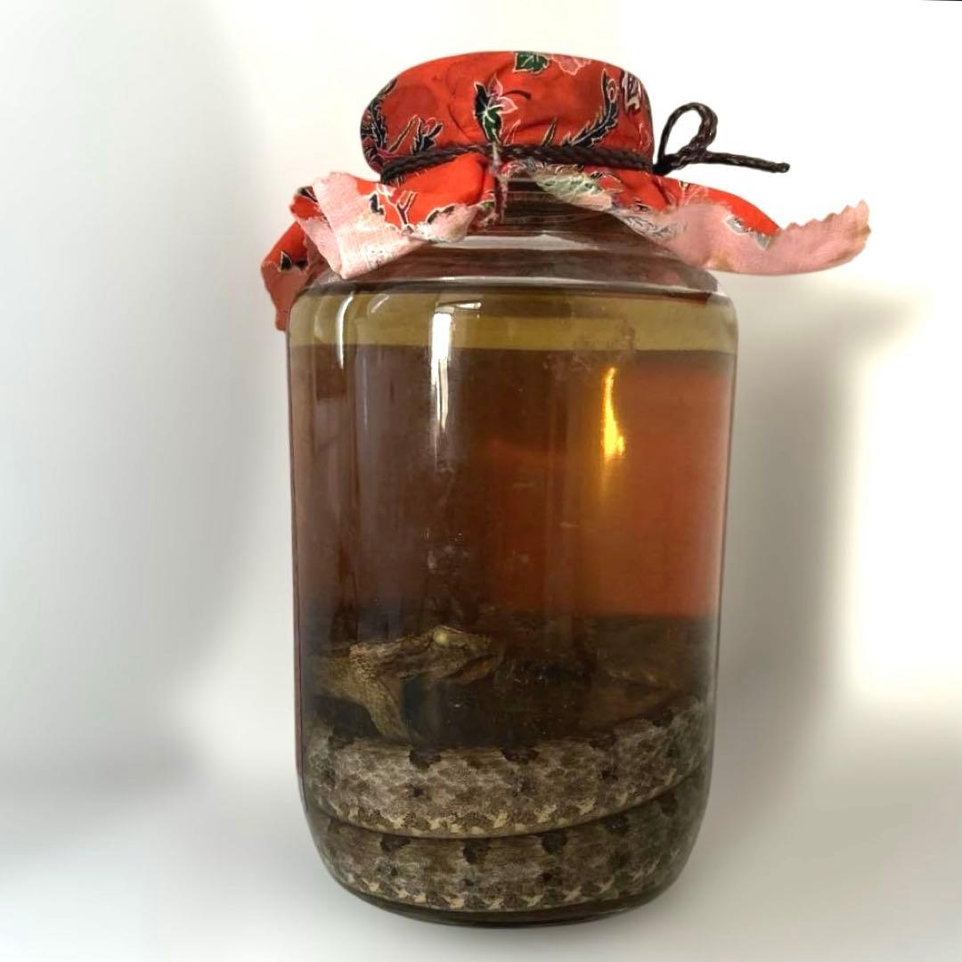 【新品】 うるま ハブ酒 強精酒 ラム酒漬け 5年熟希成 40度 1500ml