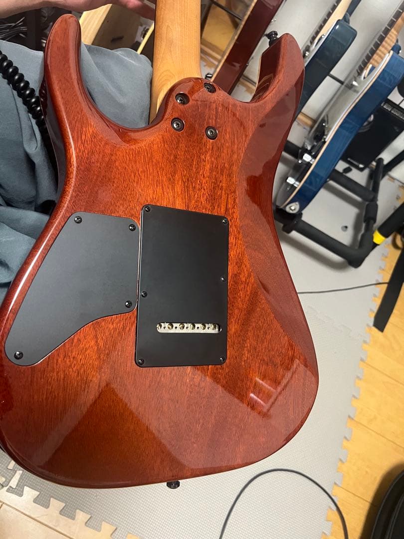 T’s guitars DST-Pro24,