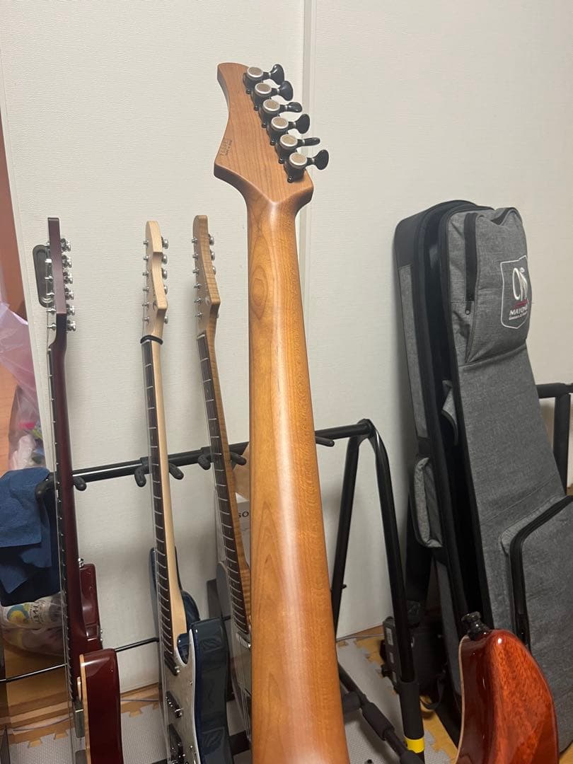 T’s guitars DST-Pro24,