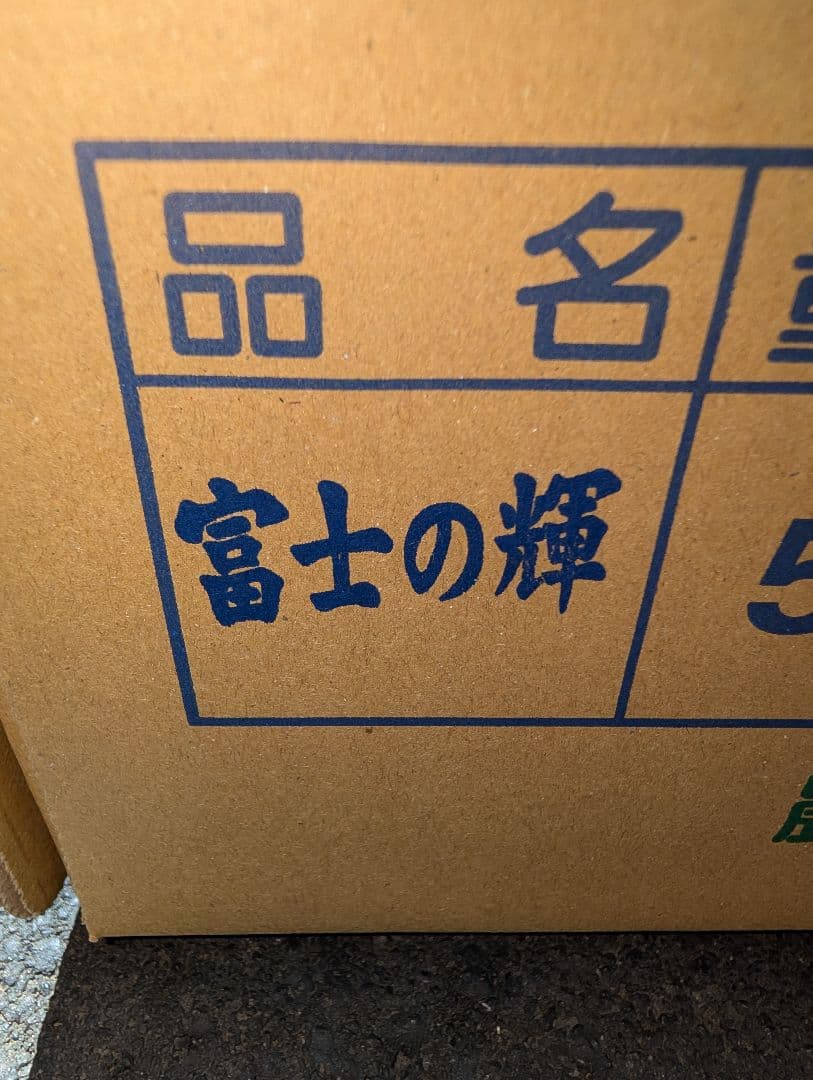山梨県産ぶどう　富士の輝　ブラックシャインマスカット10房入り箱込み約5.5kg