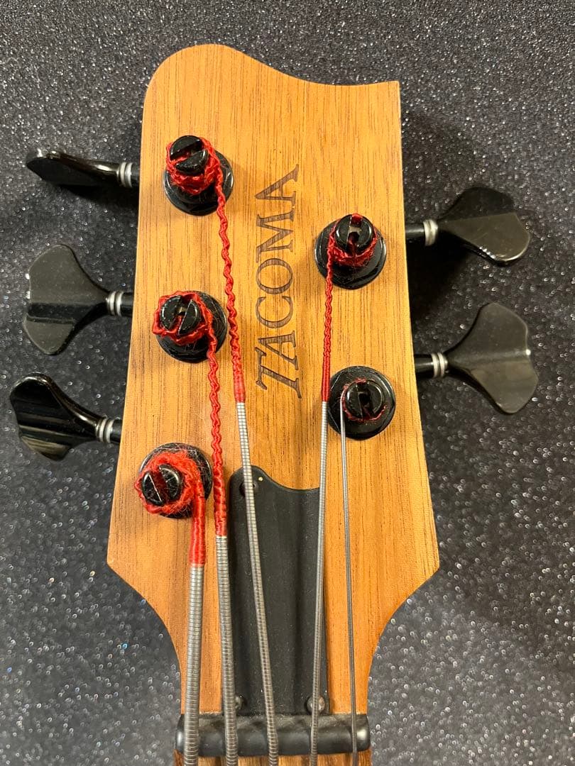 TACOMA 5弦 アコースティックベース USED