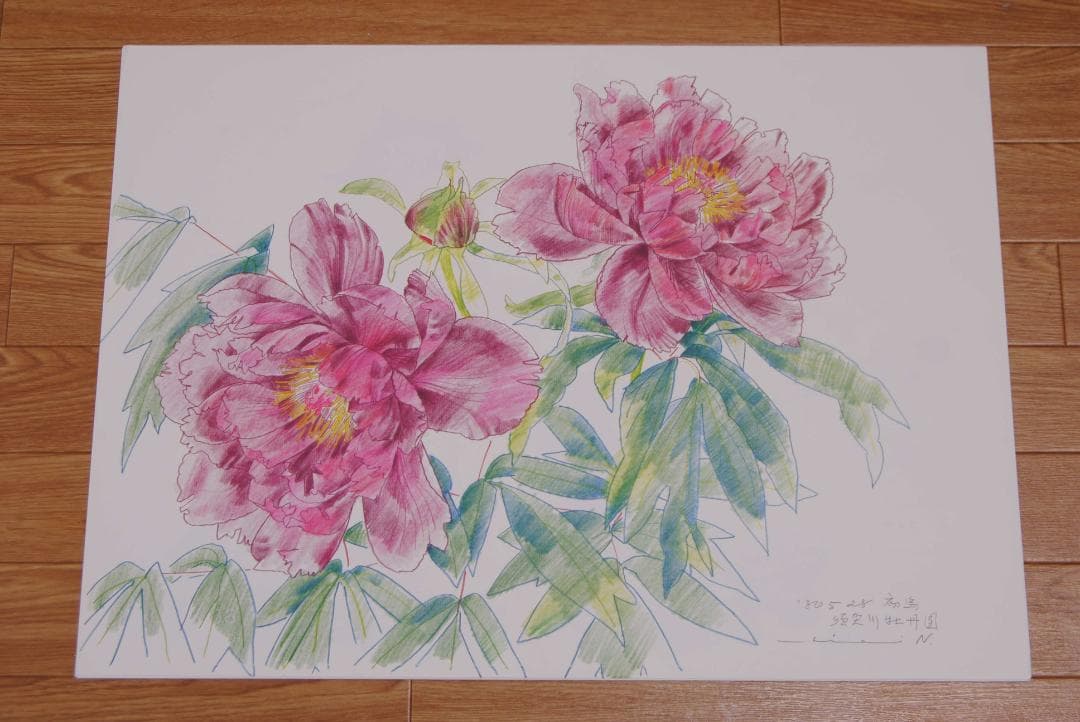 中島千波　花の写生１２葉　絵画　 12枚セット　求龍堂