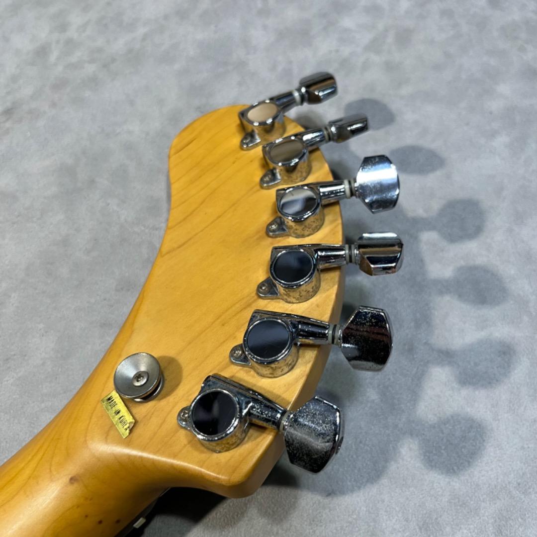 FERNANDES ZO-III グリーン系 専用ケース付